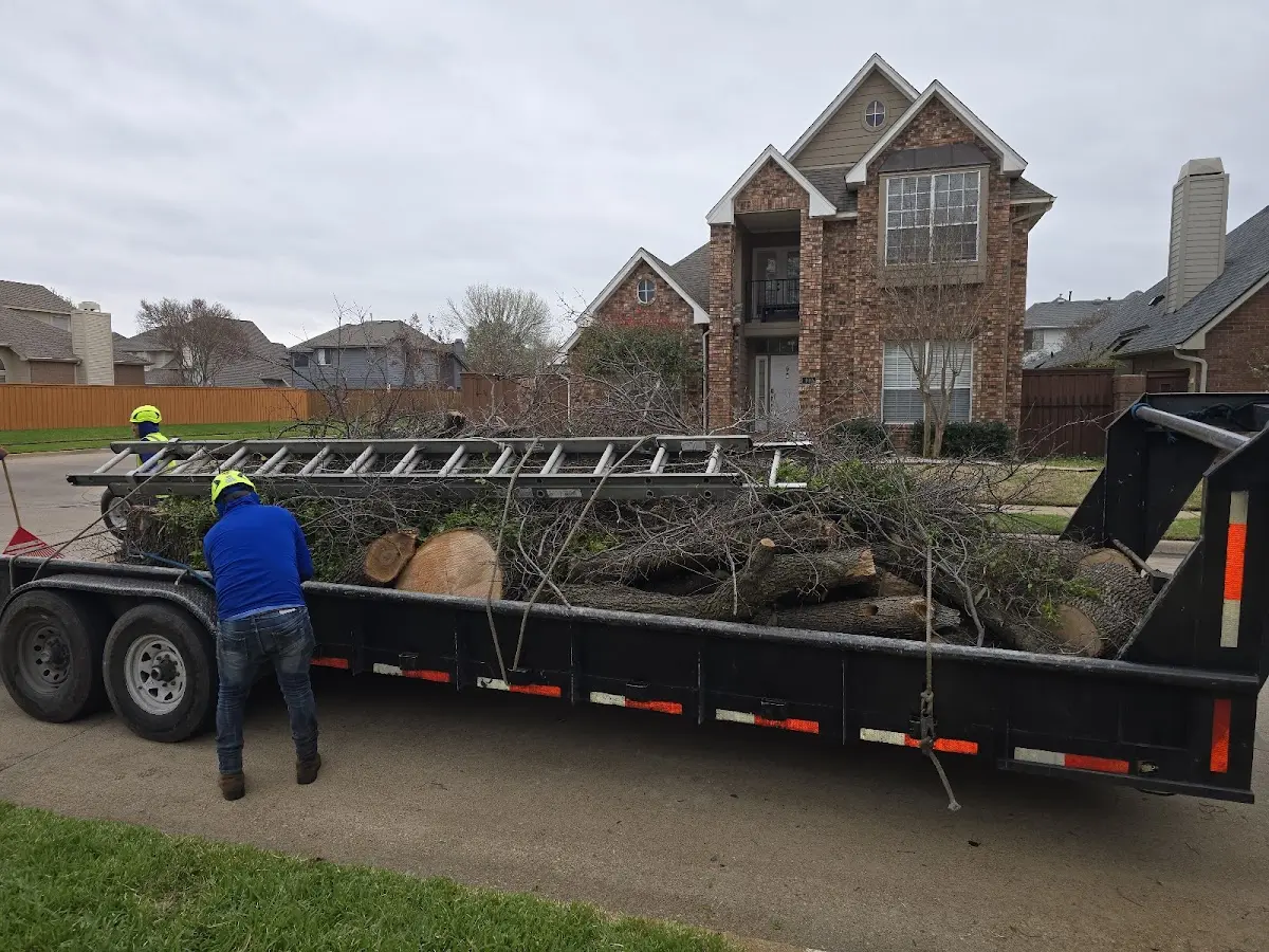 Expert Deadwooding with proper safety equipment in Brownstown